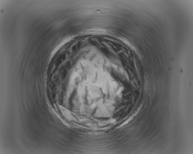 X0000082711325200702091738