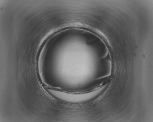 X0000082711326200702091738