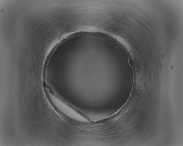 X0000082711327200702091738