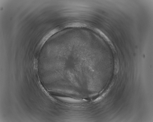 X0000082711329200702091738