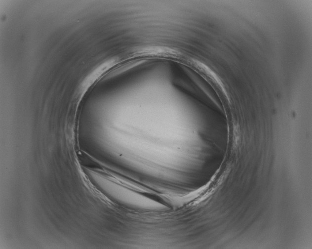 X0000082711330200702091738