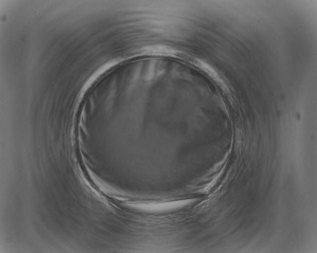 X0000082711331200702091738