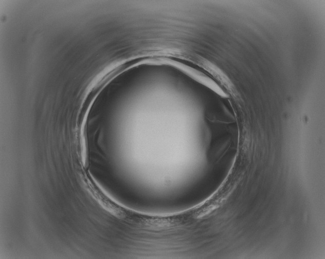 X0000082711332200702091738