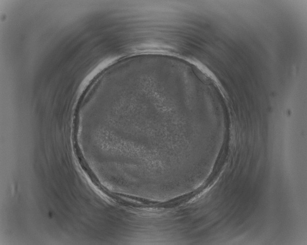 X0000082711333200702091738