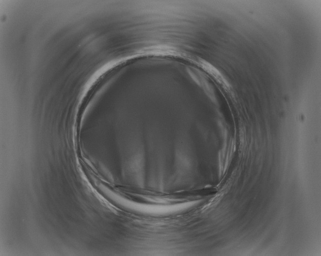 X0000082711334200702091738