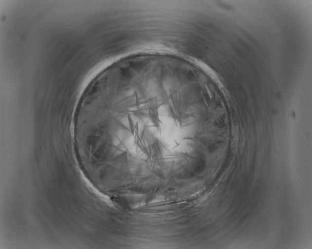 X0000082711335200702091738