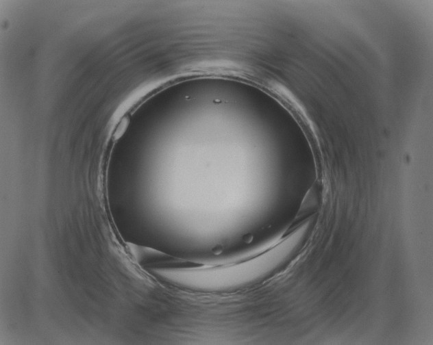 X0000082711336200702091738