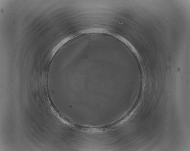 X0000082711337200702091738