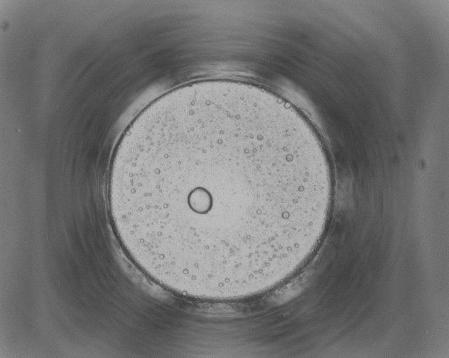 X0000082711338200702091738