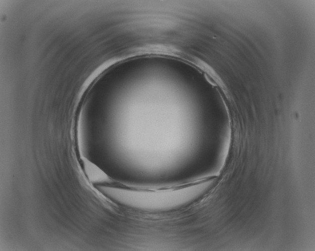 X0000082711339200702091738