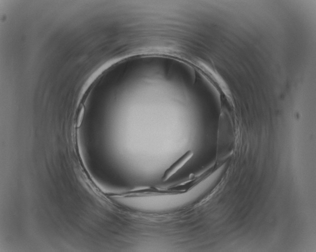 X0000082711340200702091738