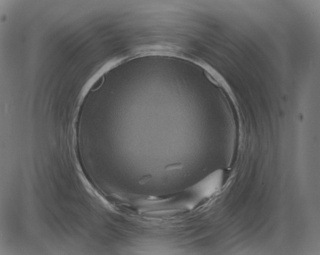 X0000082711341200702091738