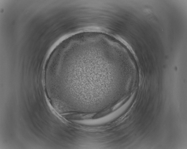 X0000082711342200702091738