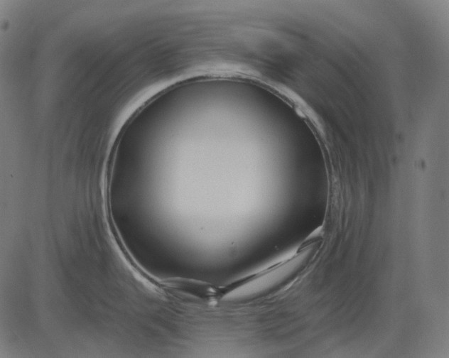 X0000082711343200702091738