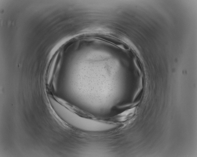 X0000082711344200702091738