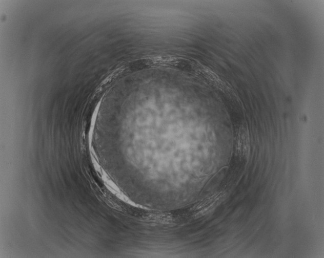 X0000082711346200702091737