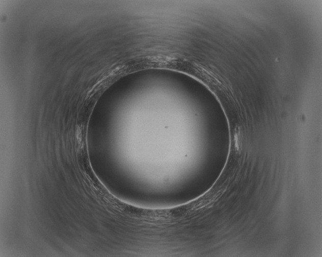 X0000082711347200702091737