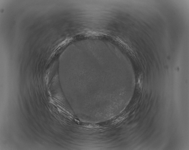 X0000082711348200702091737