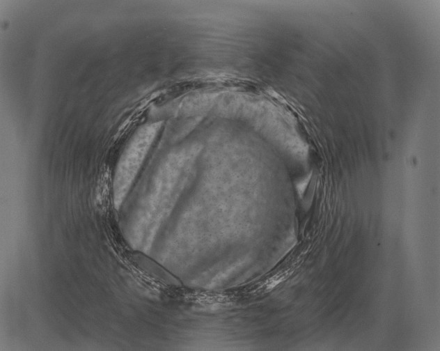 X0000082711349200702091737