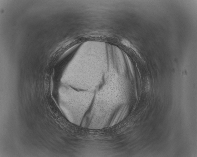 X0000082711350200702091737