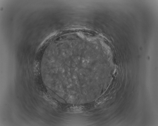 X0000082711351200702091737