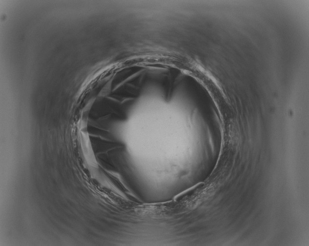 X0000082711352200702091737