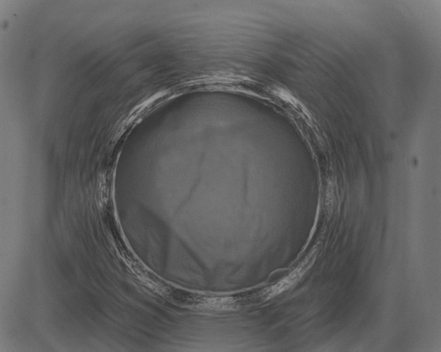 X0000082711353200702091737