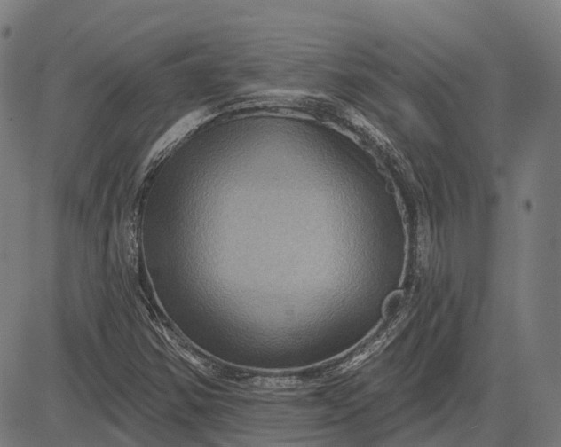 X0000082711354200702091737