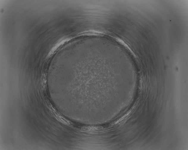 X0000082711355200702091737