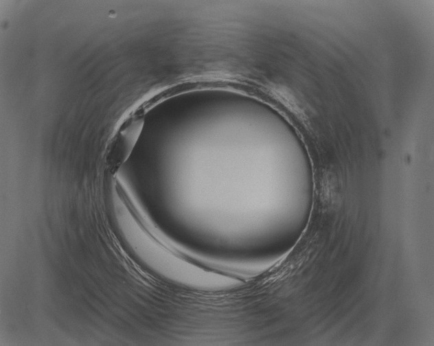 X0000082711356200702091737