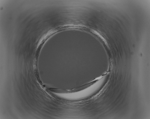 X0000082711357200702091737