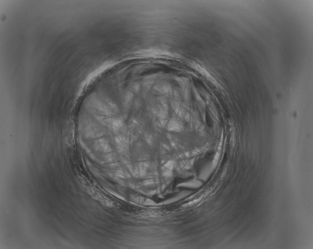 X0000082711358200702091737