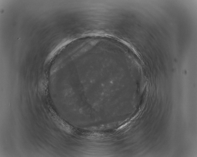 X0000082711359200702091737