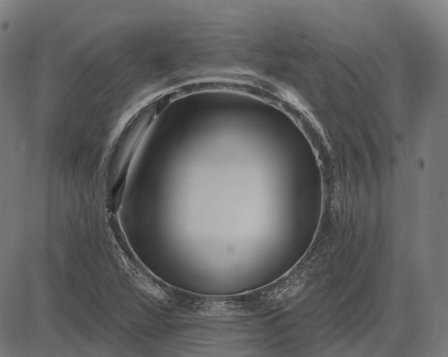 X0000082711360200702091737