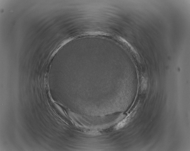 X0000082711361200702091737