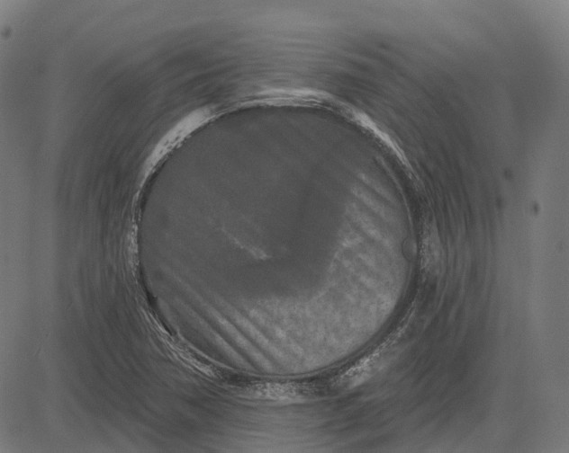 X0000082711362200702091737