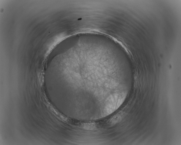 X0000082711363200702091737