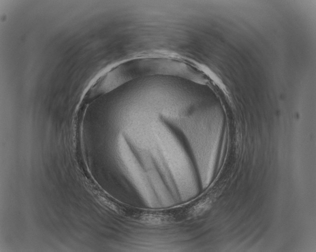 X0000082711364200702091737