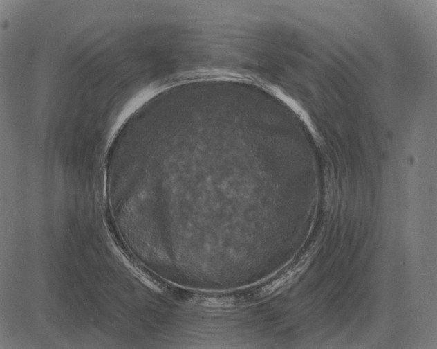 X0000082711365200702091737