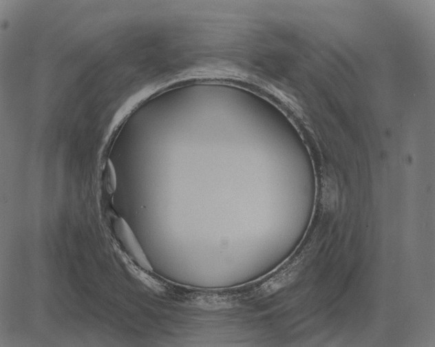 X0000082711366200702091737