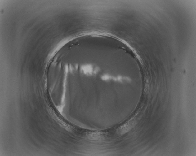 X0000082711367200702091737