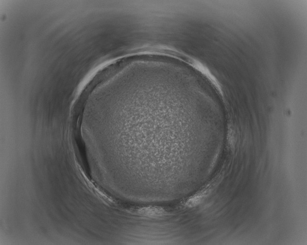 X0000082711368200702091737