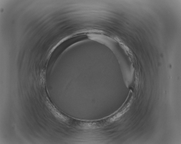 X0000082711369200702091737