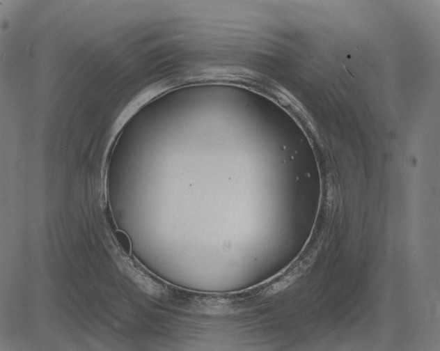 X0000082711370200702091737