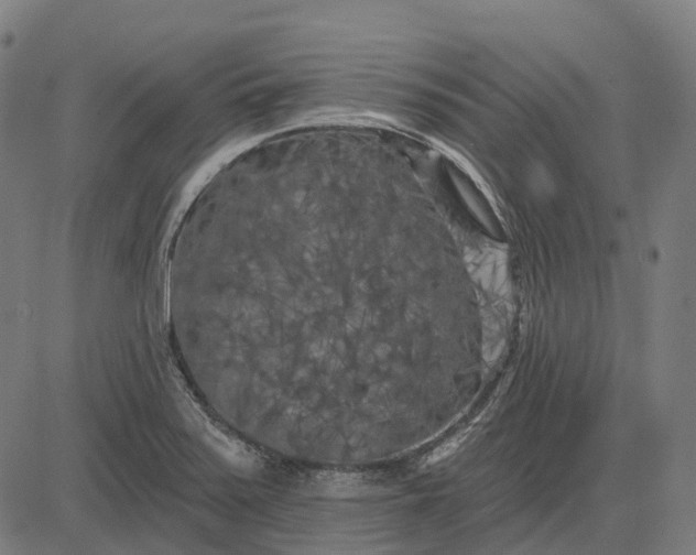 X0000082711371200702091737