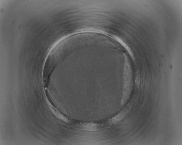 X0000082711372200702091737