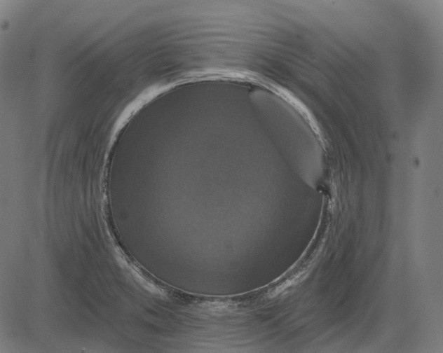 X0000082711373200702091737