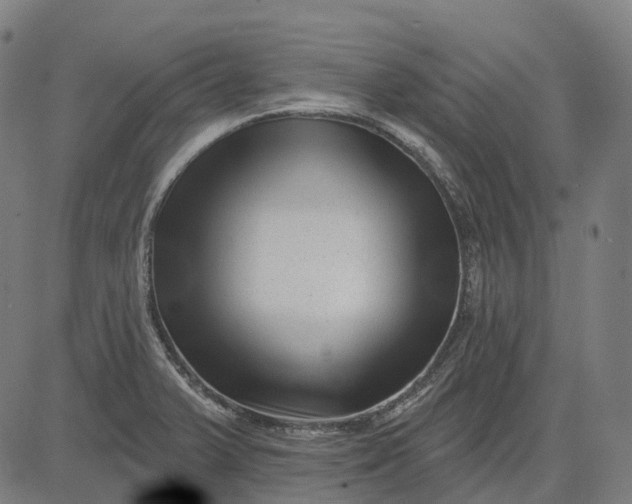 X0000082711375200702091737