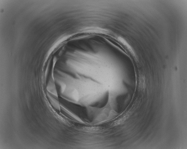 X0000082711376200702091737