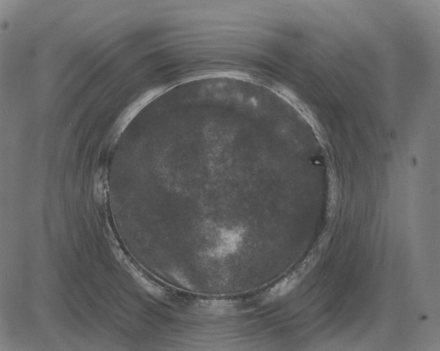 X0000082711377200702091737